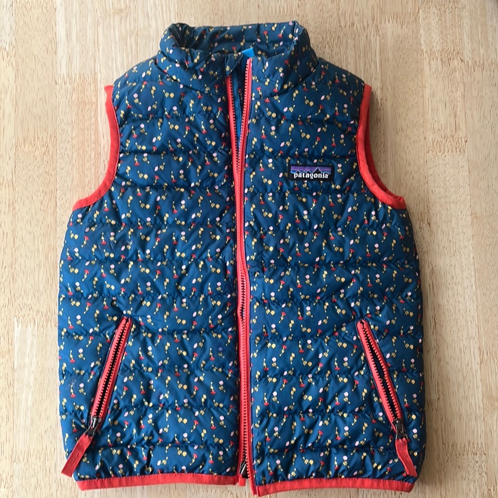 Like New Patagonia 4t down best